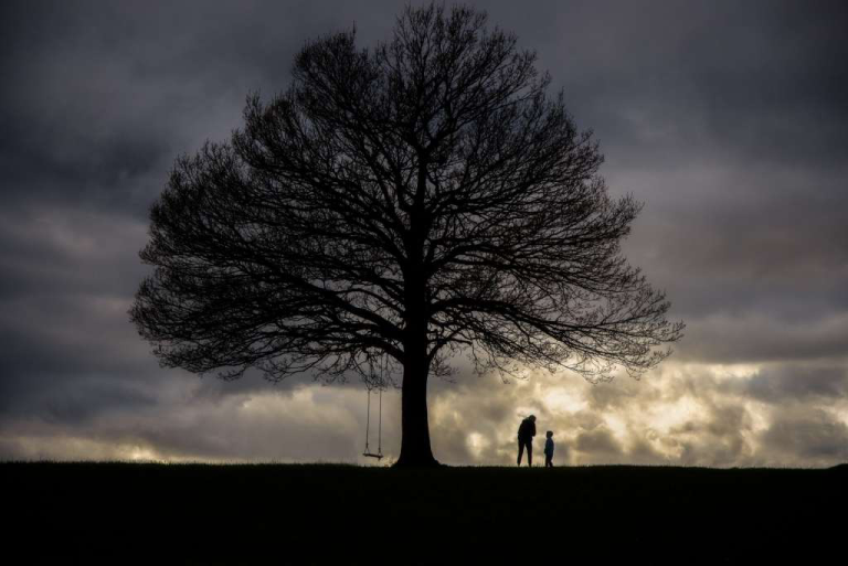 Enduring Like a Mighty Oak: Finding Strength in Psalm 1